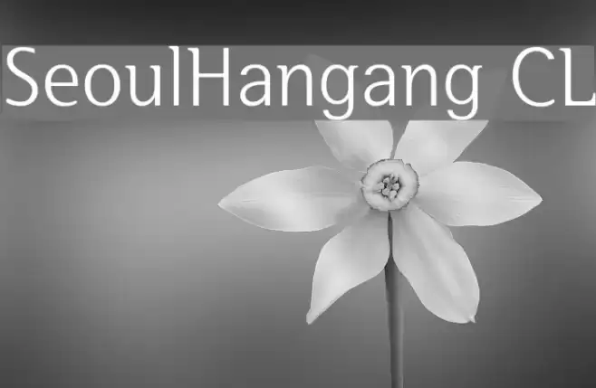 SeoulHangang CL Polices examples
