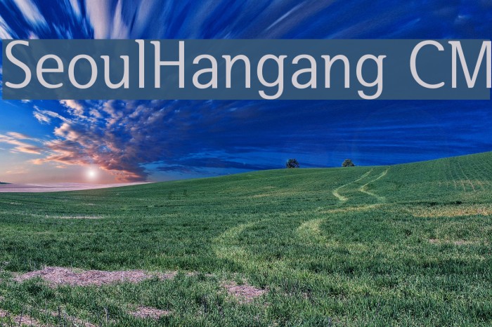 SeoulHangang CM Fuentes examples