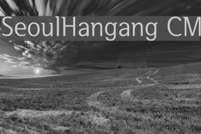 SeoulHangang CM Fuentes examples