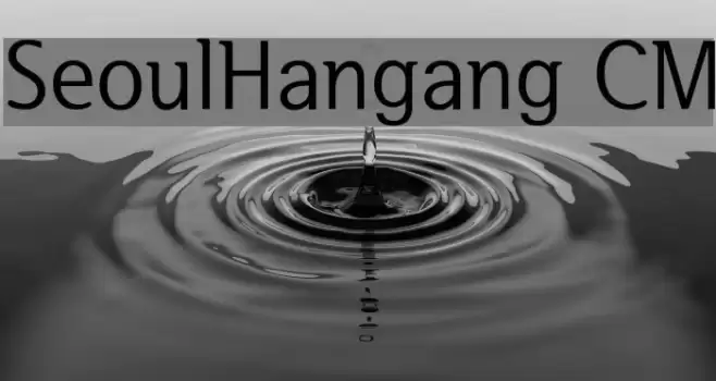 SeoulHangang CM Fuentes examples