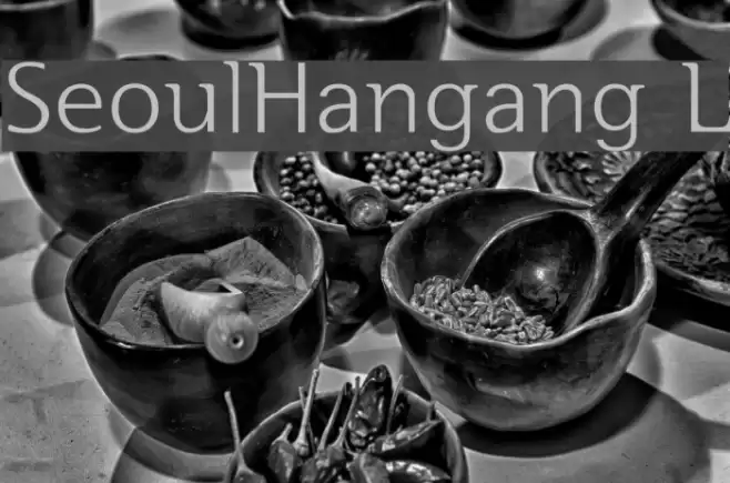 SeoulHangang L Font examples