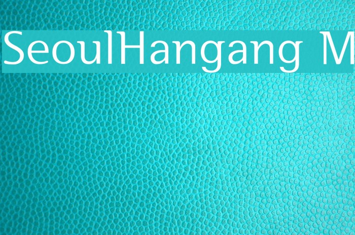 SeoulHangang M Font examples