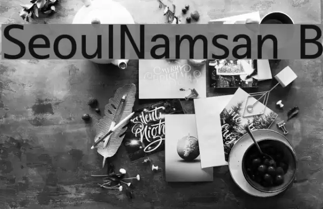 SeoulNamsan B Font examples