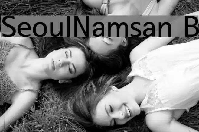 SeoulNamsan B Font examples
