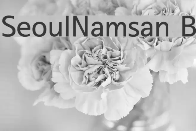 SeoulNamsan B Font examples