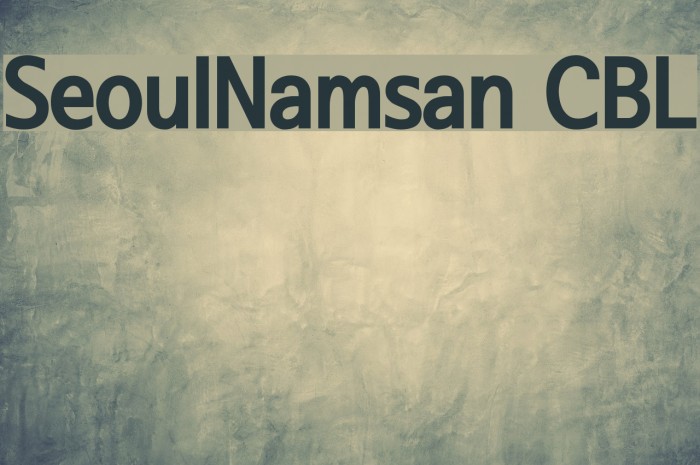 SeoulNamsan CBL Font examples
