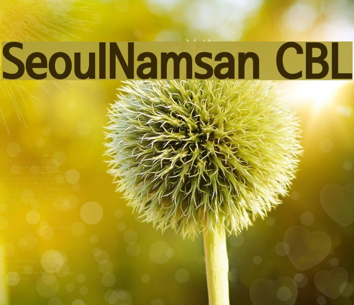 SeoulNamsan CBL Font examples
