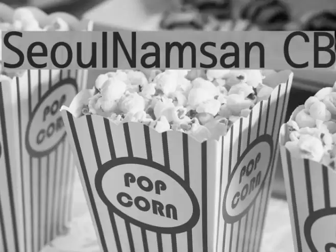 SeoulNamsan CB Font examples