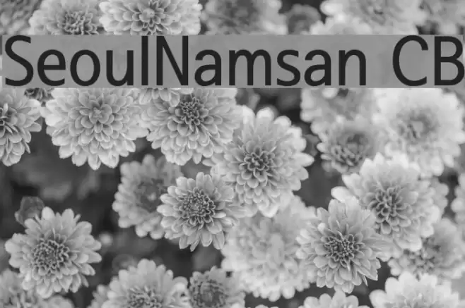 SeoulNamsan CB Font examples