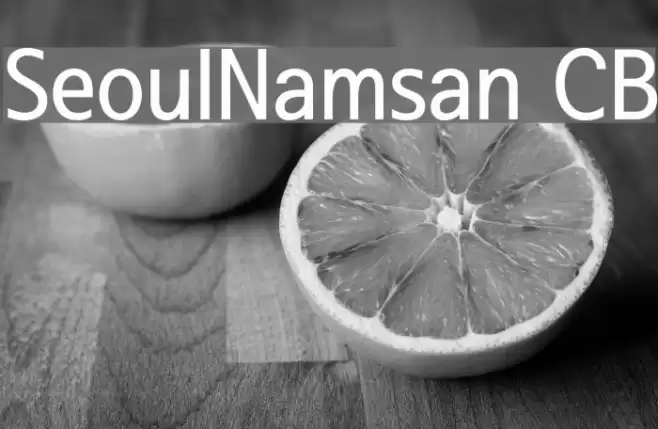 SeoulNamsan CB Font examples