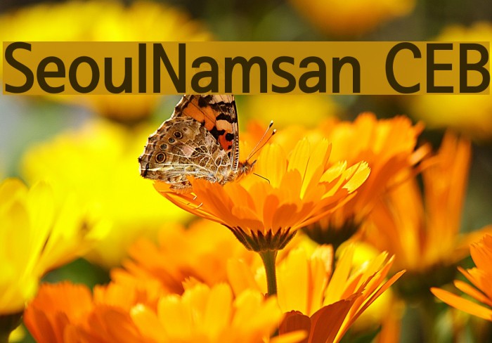 SeoulNamsan CEB Font examples