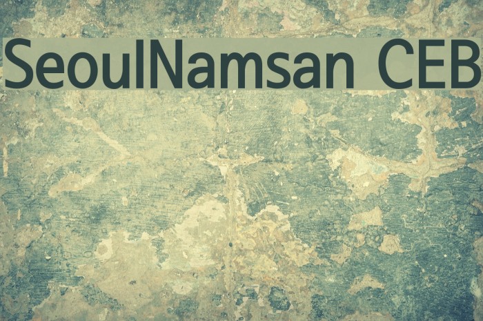 SeoulNamsan CEB Font examples