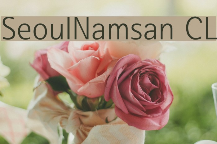 SeoulNamsan CL Font examples