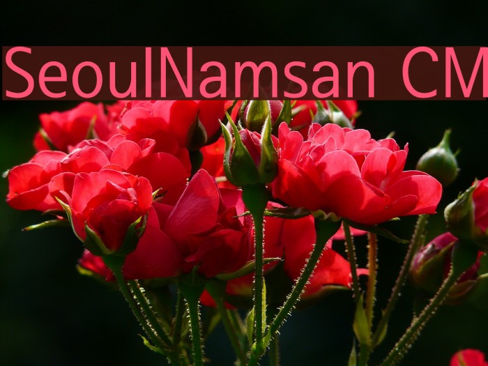 SeoulNamsan CM Font examples
