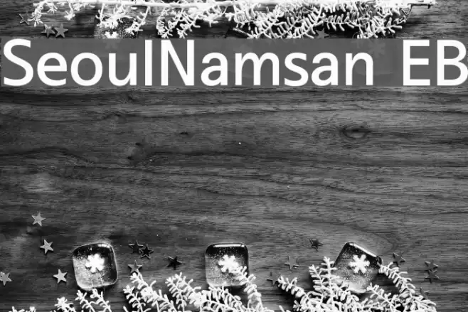 SeoulNamsan EB Font examples