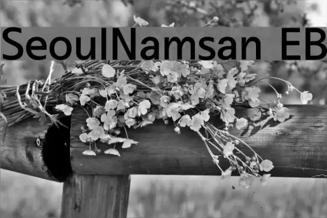 SeoulNamsan EB Font examples