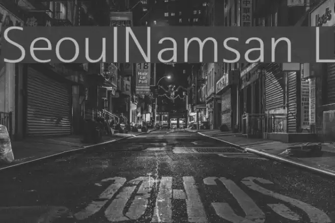 SeoulNamsan L Font examples