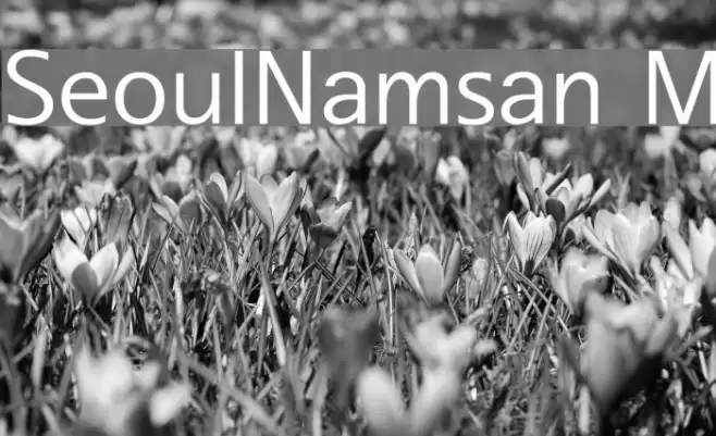 SeoulNamsan M Font examples