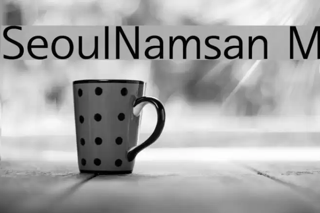 SeoulNamsan M Font examples