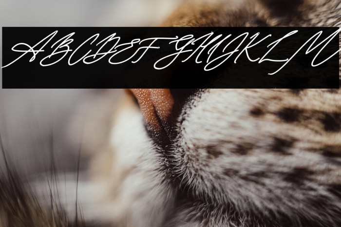 Seoulscript-BoldItalic Example 3