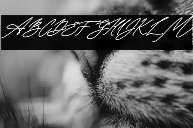 Seoulscript-BoldItalic Font examples