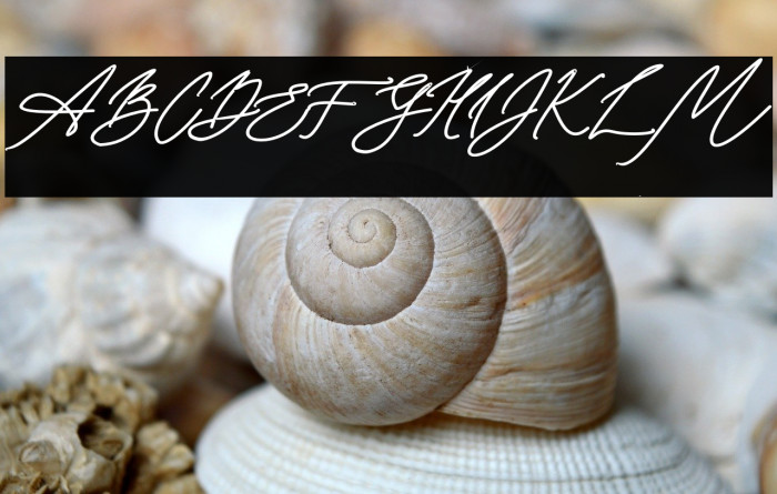 Seoulscript-Bold Example 3