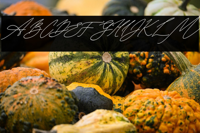 Seoulscript-Italic Example 2