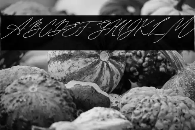 Seoulscript-Italic Font examples