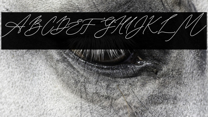 Seoulscript Example 1