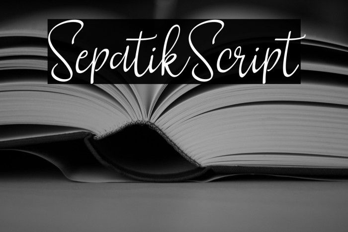 SepatikScript Example 1