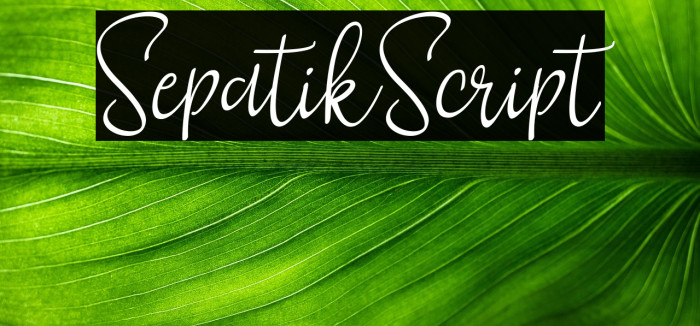 SepatikScript Example 2