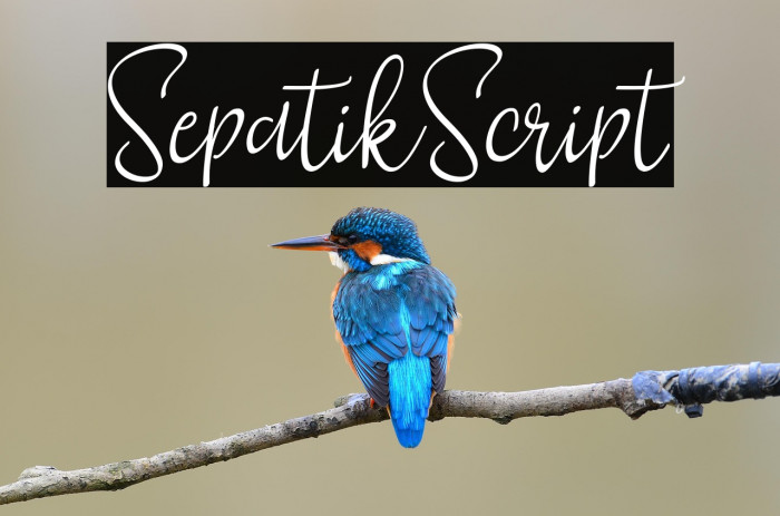 SepatikScript Example 3