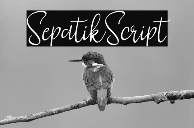 SepatikScript Font examples