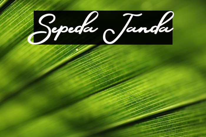 Sepeda Janda Example 1