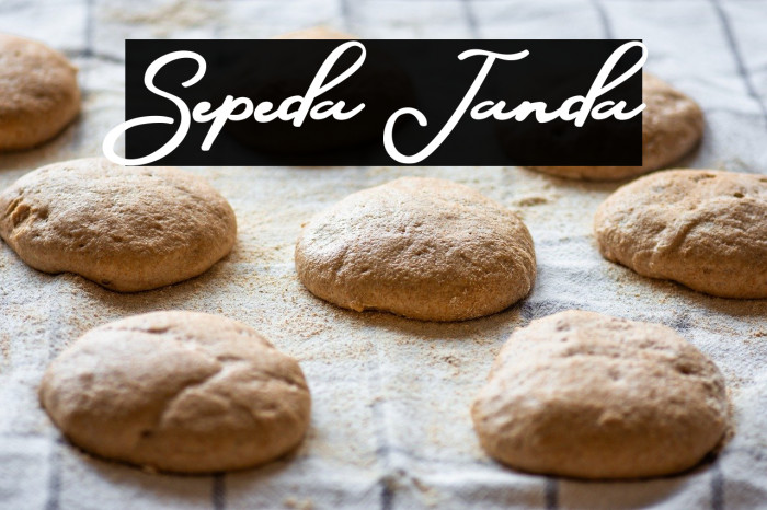 Sepeda Janda Example 3