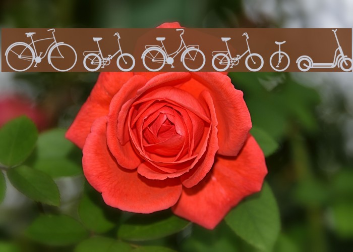 Sepeda Font examples