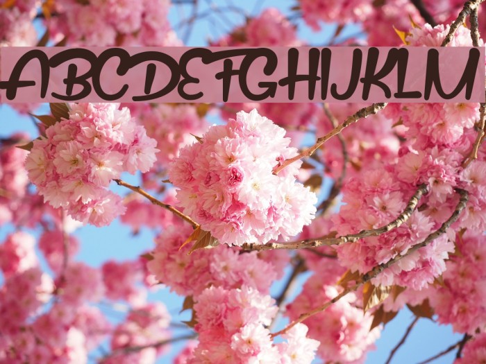 Sepetiba Personal Use Regular Font examples