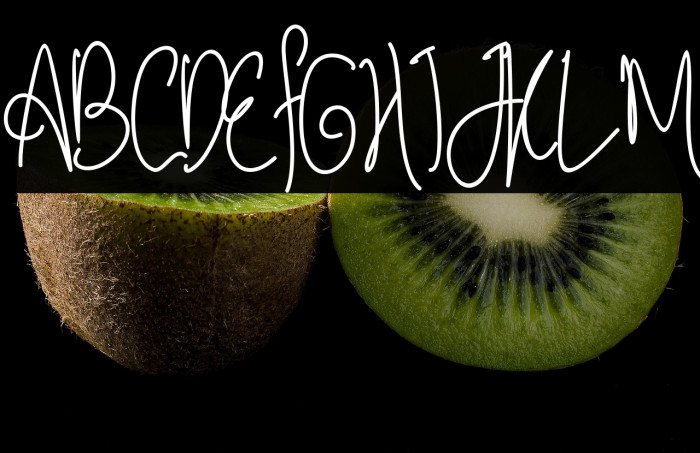 Sephia Signature Example 2