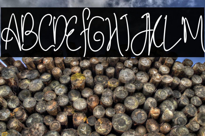 Sephia Signature Example 3