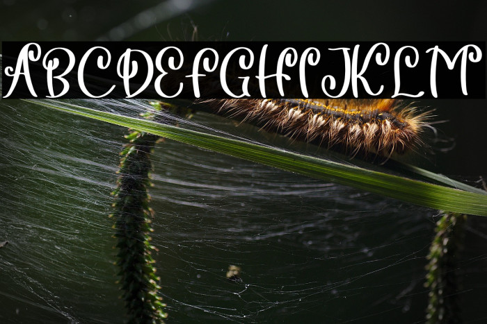 Sepia Love Example 2