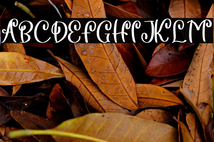 Sepia Love Example 3