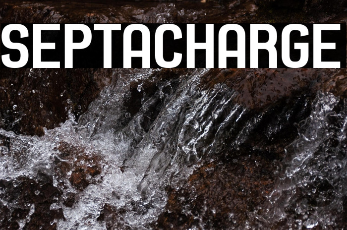 Septacharge Example 1