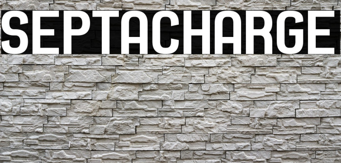Septacharge Example 2