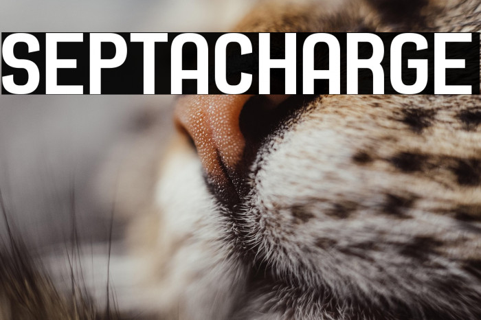 Septacharge Example 3