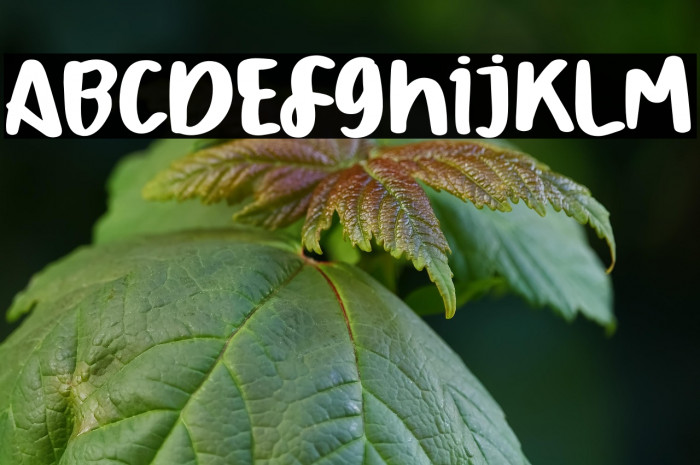 September Rain Example 3