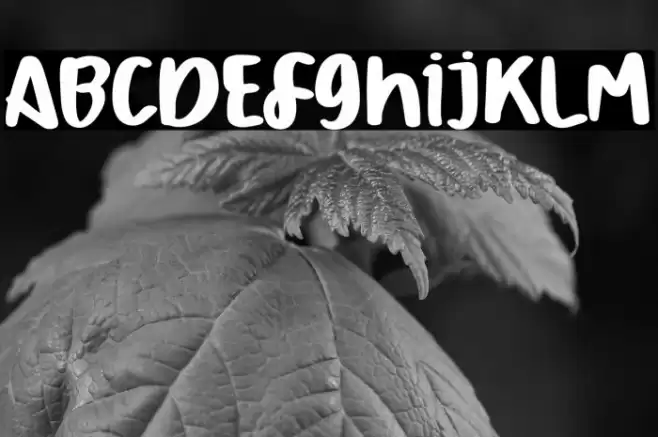 September Rain Caratteri examples