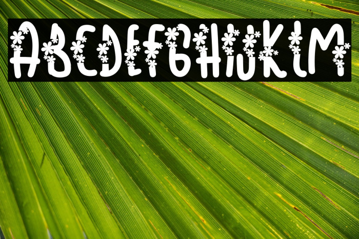 SeptemberRainRegular Example 2