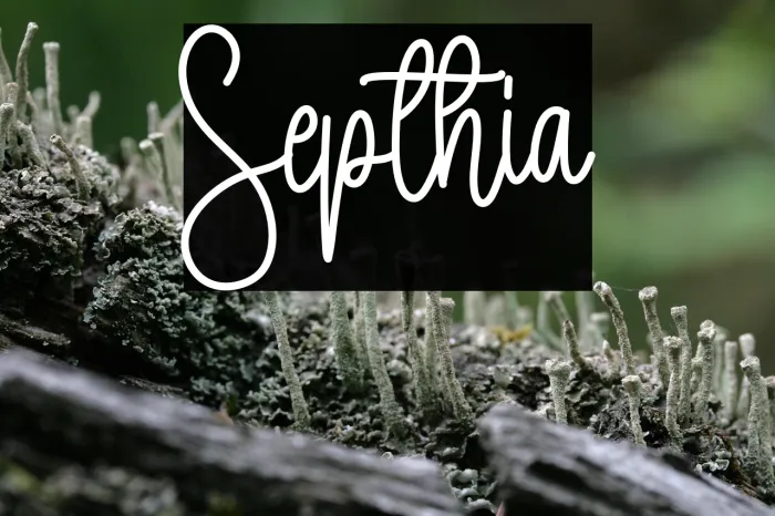 Septhia Example 3