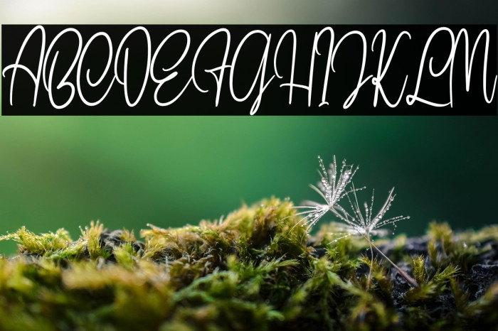 SeptillionScriptDEMO-Regular Example 1