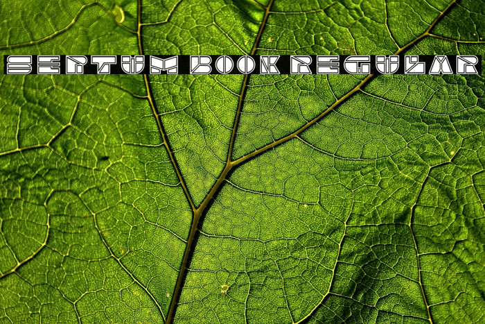 Septum Book Regular Example 2